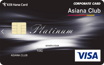 VISA ÷Ƽ 1200 ƽþƳװ ī (̹)