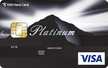 VISA 플래티늄 1200 포인트 카드 (이미지)