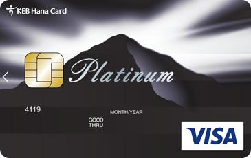 VISA ÷Ƽ 1200 Ʈ ī (̹)