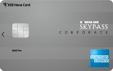 Ƹ߽ SKYPASS ī (̹)