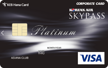 VISA ÷Ƽ 1200 װ ī (̹)