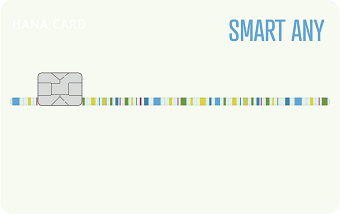SMART ANY(스마트 애니)카드 (이미지)