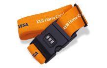 VISA 캐리어 벨트